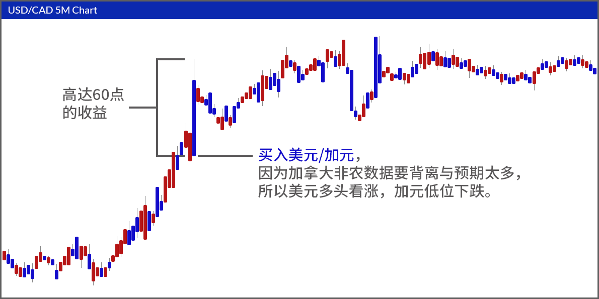 Market Sentiment & Technical Trend